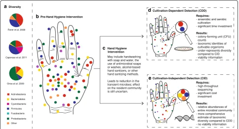 Fig. 1 amicrobes: many colors are used to show the diversity of microbes present on the hands).to study aspects of hand hygiene; cultivation yields data showing changes in the numbers of colony-forming units (counts), though many microbesare not detectable