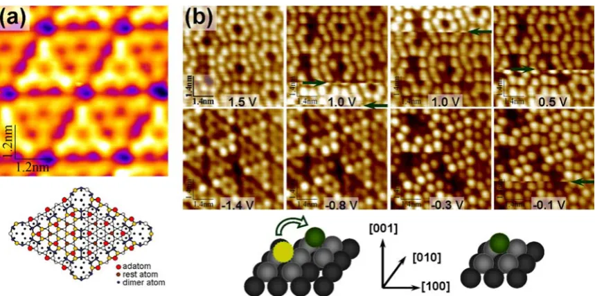 Fig. 1. SEM images of two single crystalline W[001] tips (electrochemical etching. a-c and d-f, respectively) after  