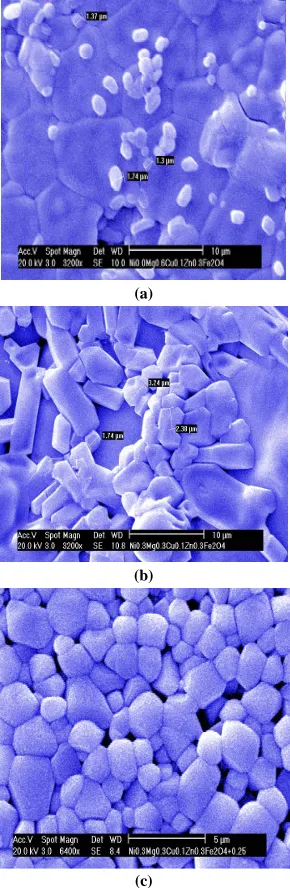 Figure 2. Scanning electron micrographs of (a) Sample A; (b) Sample D; (c) SiO2 added Sample D