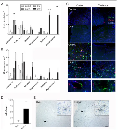 Figure 3 Experimental stroke-induced IL-1 expression is increased in the brain after LPS administration and anaphylaxis
