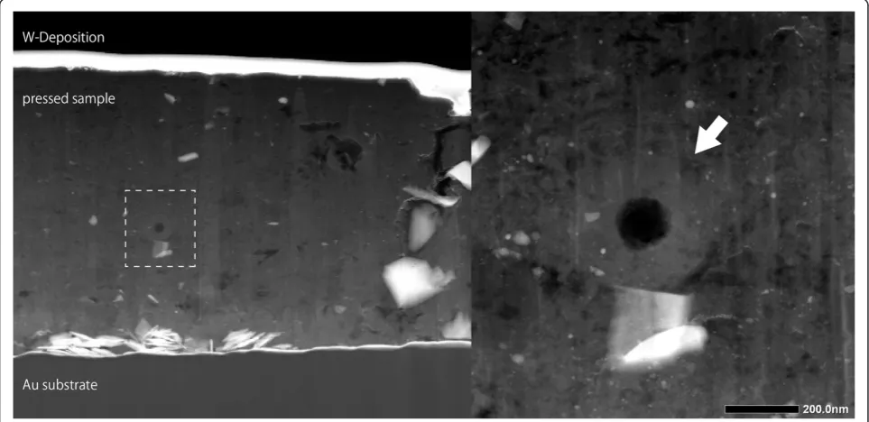 Figure 5 A STEM/dark field image of the UTS of IOM. The right image is a zoomed view of the area in the left image enclosed by the dashedbox