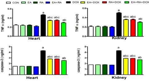 FIGURE 1. Effect of Ellagic acid (EA), Rosemaneric acid (RA) and their combination on tissue TNF-α and caspase-3 in rats  treated with Doxorubicin (DOX)