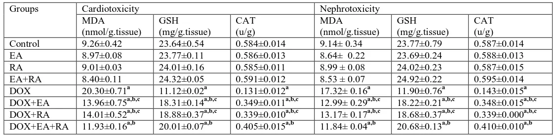 TABLE 1. Effect of administration of Ellagic acid, Rosemaneric acid and their combinations on serum levels of LDH, CK-MB, Troponine-I, urea and creatinine in rats treated with Doxorubicin