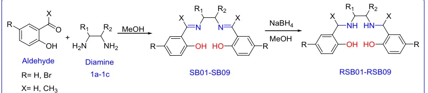 Fig. 1. Preparation of [RSB01-RSB09]