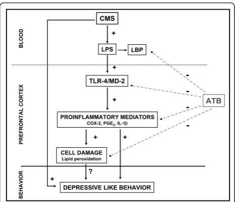 Figure 8 Schematic representation of the results obtainedfrom and the effects of antibiotic intestinal decontamination(ATB: intestinal antibiotic decontamination)