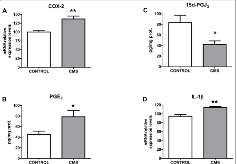Figure 5 Lipid peroxidation in brain after CMS: levels ofmalondialdehyde (MDA; a marker of reactive oxygen speciesattack and resultant lipid peroxidation) in control rats andafter CMS exposure in brain cortex