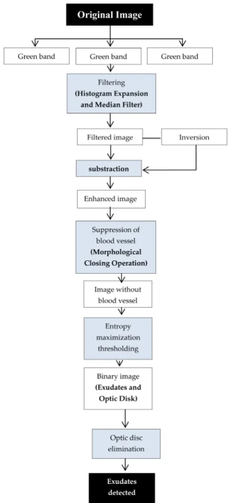 Figure 2. The proposed methodology scheme. 