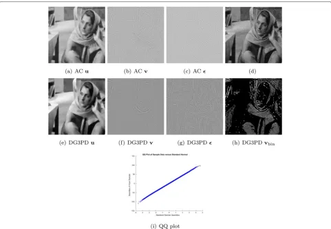 Fig. 9 DG3PD decomposition of a latent fingerprint for segmentation (a) with δ = 60. b–e The ROI is obtained from the binarized texture vbin andmorphological postprocessing as described in [57]
