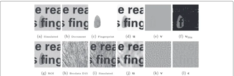Fig. 1 The simulated latent fingerprint (of v are visualized as white pixels ina) is composed by adding the fingerprint (c) to image (b) which is a detail from a photo of a printeddocument