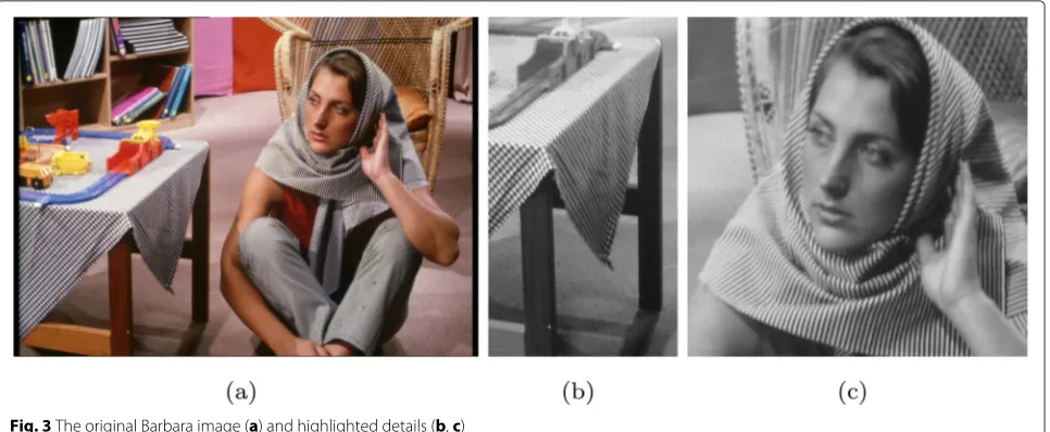 Fig. 3 The original Barbara image (a) and highlighted details (b, c