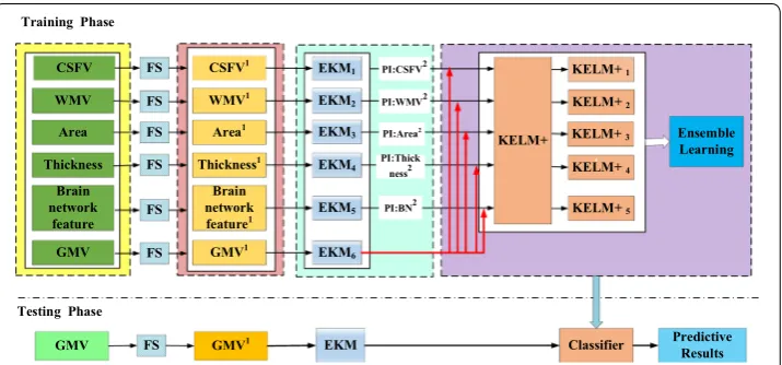 Fig. 4 Flowchart of the proposed EKM–KELMinformation. In this figure, gray matter (GMV) acts as the main feature (red line), while cerebrospinal fluid (CSFV), white matter (WMV), cortical surface area (Area), and brain network features (BN, constructed by 