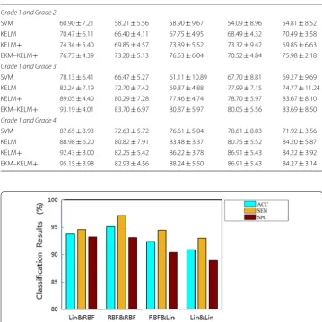 Fig. 1 Classification results of Grade 1 vs. Grade 4, using EKM–KELMKELM+ with different kernel types (EKM and +) on the GMV feature