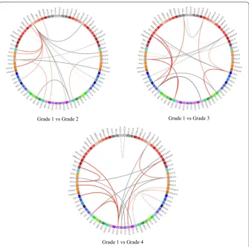 Fig. 3 Connection graphs of the most discriminative brain network features (top 20-correlated features) for three groups
