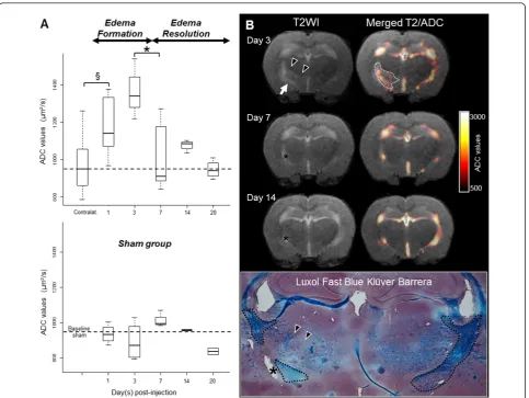 Figure 1 Time course of LPC-induced edema as assessed by ADC measurementsrevealed a biphasic evolution (ANOVA) with a first phase characterized by a rapid increase in water content (§, p = 0.006, Wilcoxon test) peakingat 3 dpi, corresponding to the active 