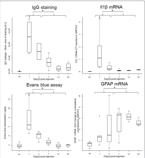 Figure 3 Quantitative features of edema build-up and resolution phases. Markers of BBB permeability (immunostaining of endogenous IgGextravasation and Evans Blue leakage) and pro-inflammatory cytokine (IL1b mRNA quantification) were found as early as 1 dpi