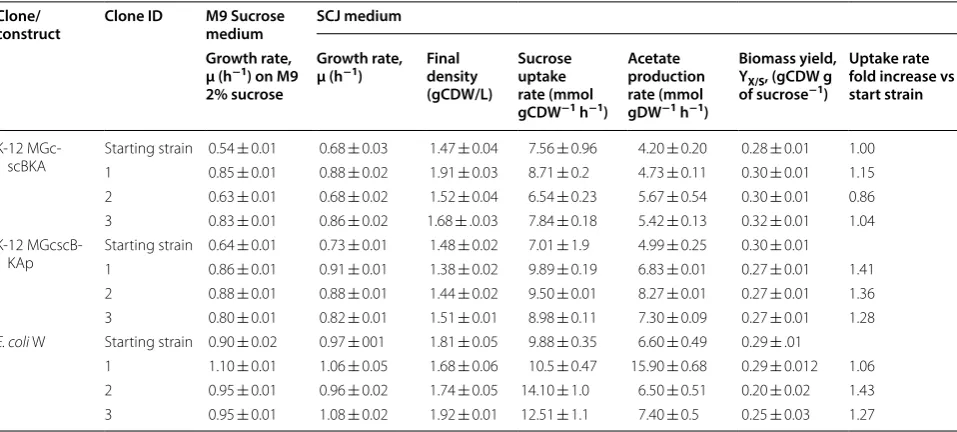 Table 2 Physiological data for the evolved isolates on sucrose M9 medium and sugarcane juice M9 minimal medium (SCJ medium)