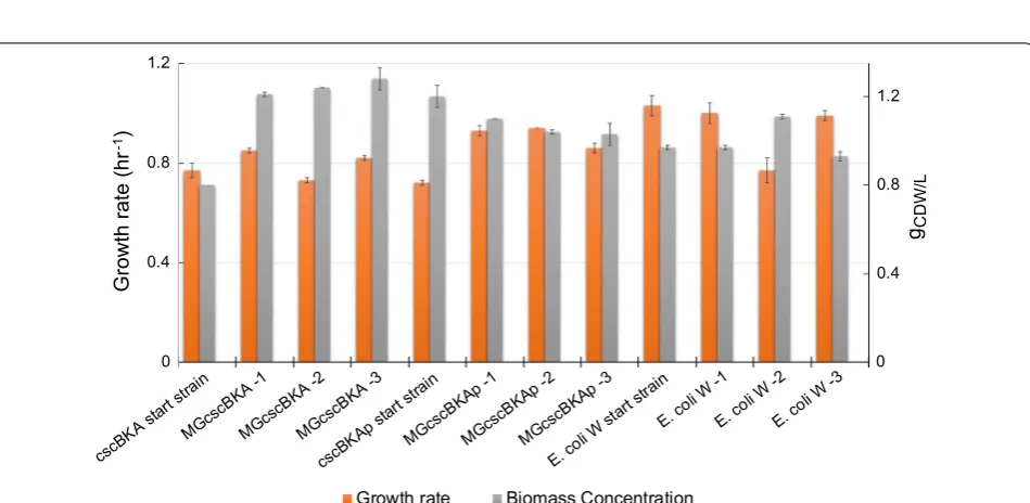 Fig. 3 Growth profiles of ALE clones isolated from the end populations of the evolution experiments versus starting strains on M9 minimal medium on a plate reader and the common ratio between the plate reader  ODMGcscBKA derivatives with with 20 g/L sucros