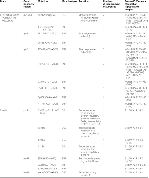 Table 3 Key mutations found after evolution of E. coli on sucrose