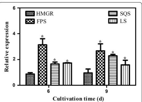 Fig. 2 Transcriptional levels of GA biosynthetic genes in the WT and the FPS transgenic strain
