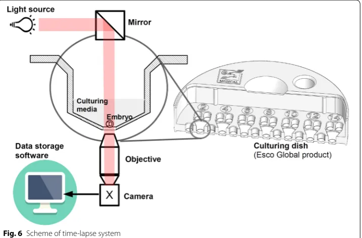 Fig. 6 Scheme of time‑lapse system