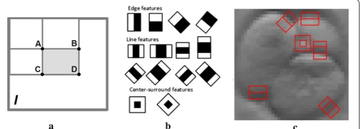Fig. 7 Graphical representation of Haar‑like features: a simplified example of Haar‑like feature represented on integral image; b templates of different Haar features; c a sub‑image of embryo with different feature templates
