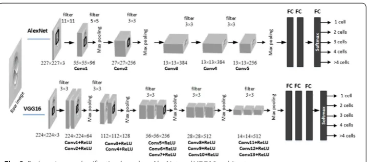Fig. 8 Embryo image classification based on AlexNet and VGG16 architectures