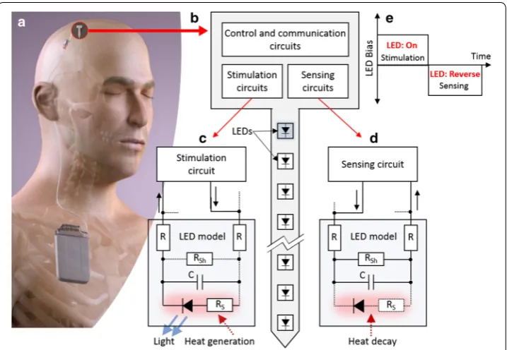 Fig. 1 shaft and stimulation and sensing circuits on the head, da Conceptual image of an implantable optoelectronic device; b concept optrode with LEDs on the c LED in the optical stimulation phase generates heat;  reverse-biased LED connected to the sensing circuit to measure the reverse current change; and e timing diagram for the LED biphasic biasing