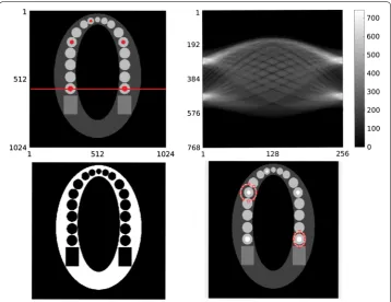 Fig. 3 The dataset and ROIs. inpainting has the resolution of a The metallic regions are marked red on the phantom
