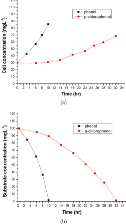 Figure 1. (a) & (b) Comparison of cell growth and sub-strates degradation at the initial phenol or p-chlorophenol concentration of 100 mg·L–1