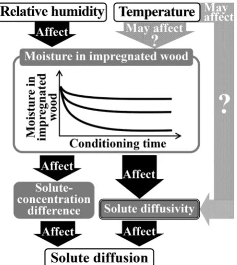 Fig. 1 Effect on solute diffusion of relative humidity (RH) clariﬁedin our previous studies and of temperature to be examined in thispaper