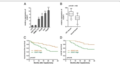 Figure 1 CCAT1 expression in HCC and its association with patientsnormal cell lines. Data are presented as mean ± standard error based on at least three independent experiments