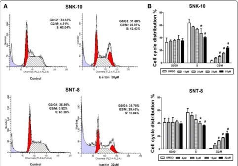 Figure 2 Icaritin induces cell cycle arrest at G2/M phase in ENKL cells. Cell cycle distribution of SNK-10 and SNT-8 cells was analyzed by flowcytometry with PI staining after 48 h treatment