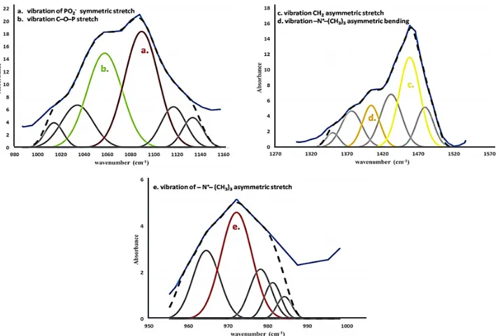 Fig. 4. FTIR Peak deconvolution on the CocoPCs functional groups