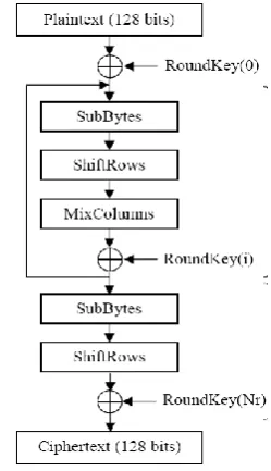 Figure 1.  AES Encryption Structure 