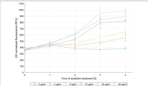 Fig. 3 Time-course-activity measurements of YFP expressed from P1 h up to 4 h after addition of azetidine