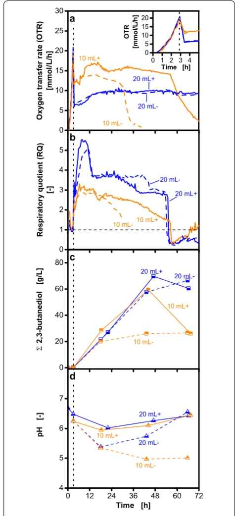 Fig. 3 Effects of buffering on 2,3-butanediol production with Bacillus licheniformis DSM 8785