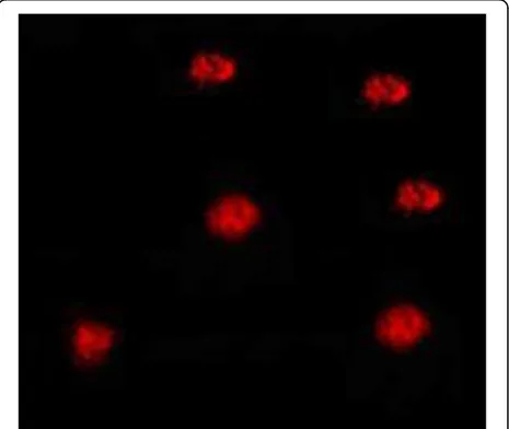 Table 5 Effect of prolonged exposure to LC25 of Mefloquine drug for 2 weeks on some glycolytic enzymes in soft tissues ofLymnaea natalensis snails