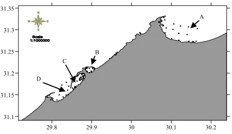 Figure 1. Sampling locations collected from the area of in-vestigation: (A) Abu Qir Bay, (B) Eastern Harbour, (C) Western Harbour and (D) El Max Bay during 2010