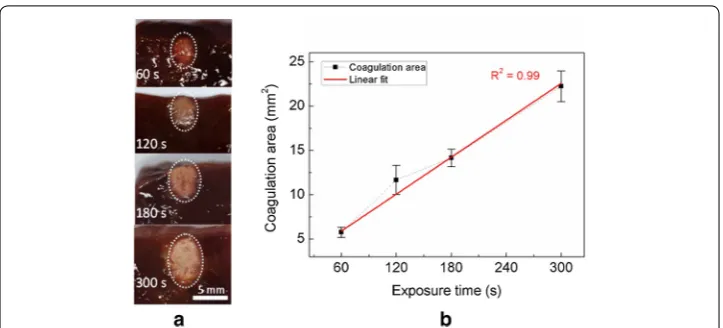 Fig. 7 Thermal coagulation in ex vivo bovine liver tissue during 300‑s HIFU exposure with PID controller: coagulation area (a transverse cross‑sectional images of coagulated tissue captured at various exposure times (60, 120, 180 and 300 s) and b coagulation area as a function of exposure time (N = 5, red line represents a linear fitting of R2 = 0.99))