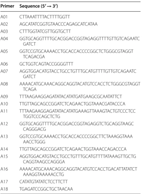 Table 2 Primer sequences used in this study