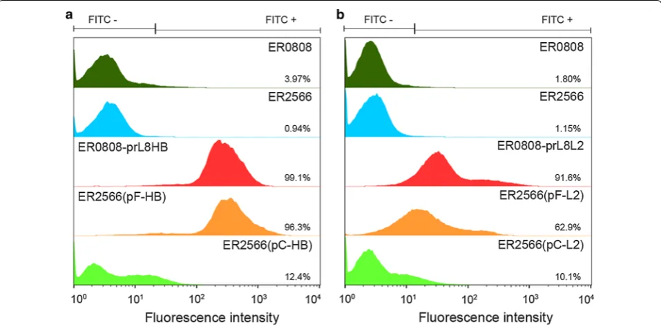 Fig. 5 Identification of fusion protein expression and purification. SDS-PAGE and western blotting of total proteins (TP) and OMPs prepared from equal biomass of ER0808 and a ER0808-prL8HB, ER2566(pF-HB) and ER2566(pC-HB) or b ER0808-prL8L2, ER2566(pF-L2) 