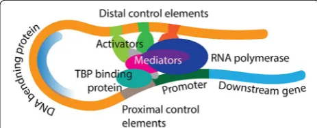 Fig. 1 Generalized principles of metabolite-responsible transcriptional factors (MRTFs) in biological systems