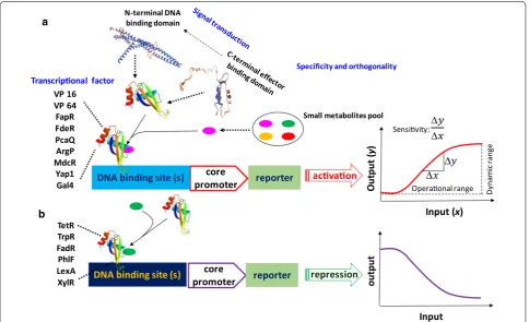 Fig. 3 Dissecting the design criteria of engineering metabolite responsive transcriptional factors (MRTFs) in eukaryotic cells