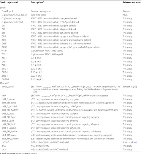 Table 1 Strains and plasmids used in this study