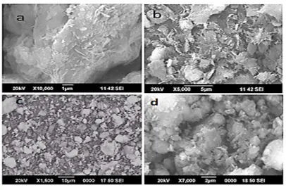 Fig. 2. S E M of raw and acid activated palygorskite. (a) 