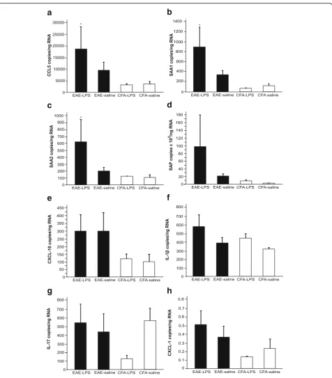 Fig. 5 In EAE acute phase, protein and chemokine expression increases in the brain 8 days after LPS challenge without having an effect in CFAmice