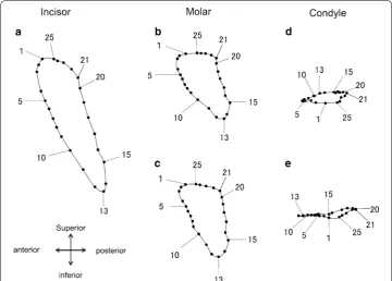 Table 4 A–P excursion of the movement trajectories of the condyle (mm)