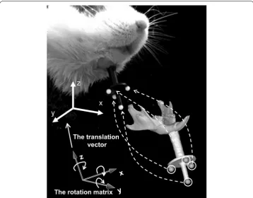 Fig. 5 Schematic illustration of rigid transformation. Each of the coordinates of the four markers in the coordinate system of the geometric model is transferred to that in the coordinate system of the motion capture system by means of a rigid transformation