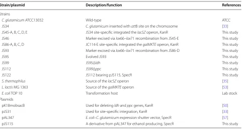 Table 2 Strains and plasmids