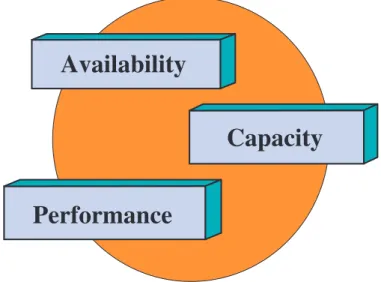 Figure 1.3   Components of E-vailability 